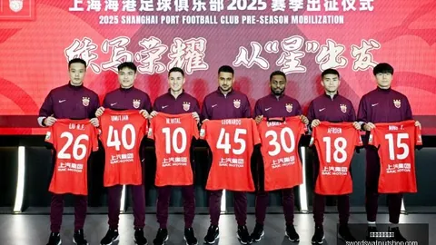 电竞战队新，世界杯盘口分析登录，阵容，蓄势待发