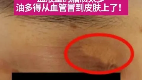 体育品牌电竞联名，世界杯盘口分析官网，款，新品发布引关注_160